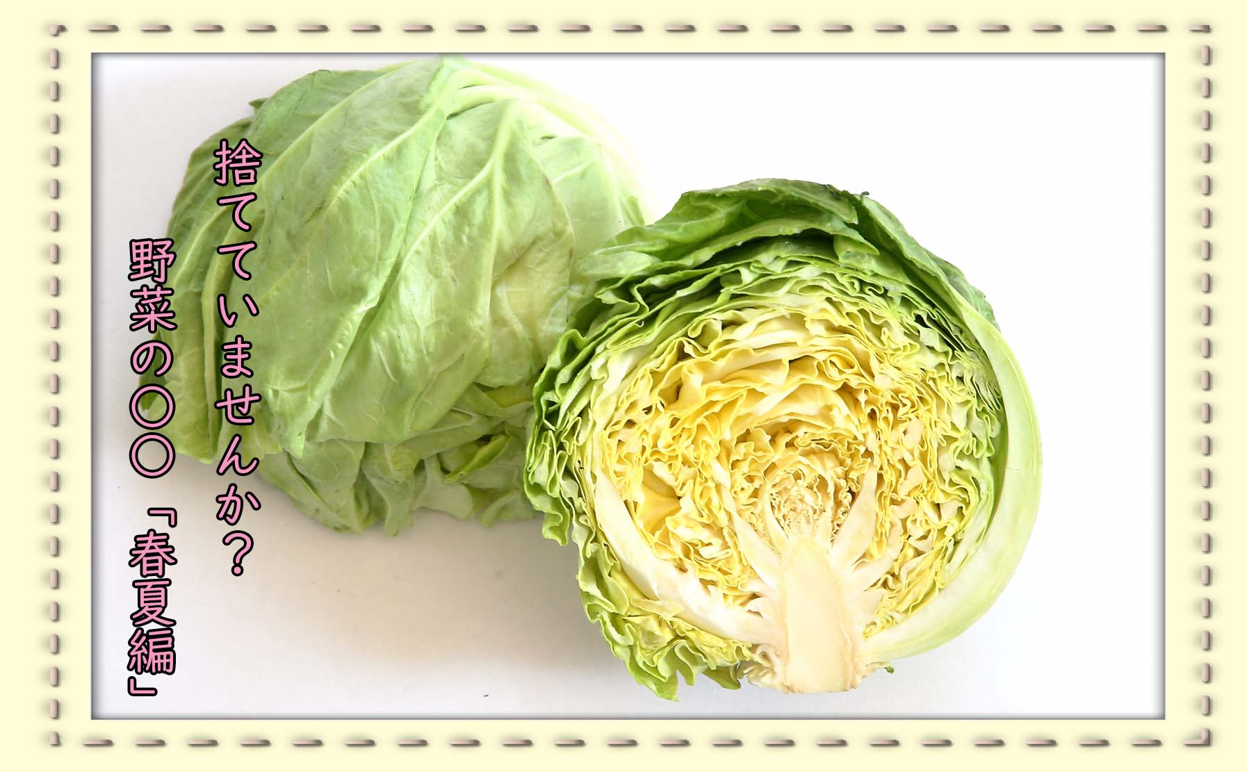 捨てているけど食べられる!?春夏の野菜を捨てずに食べよう