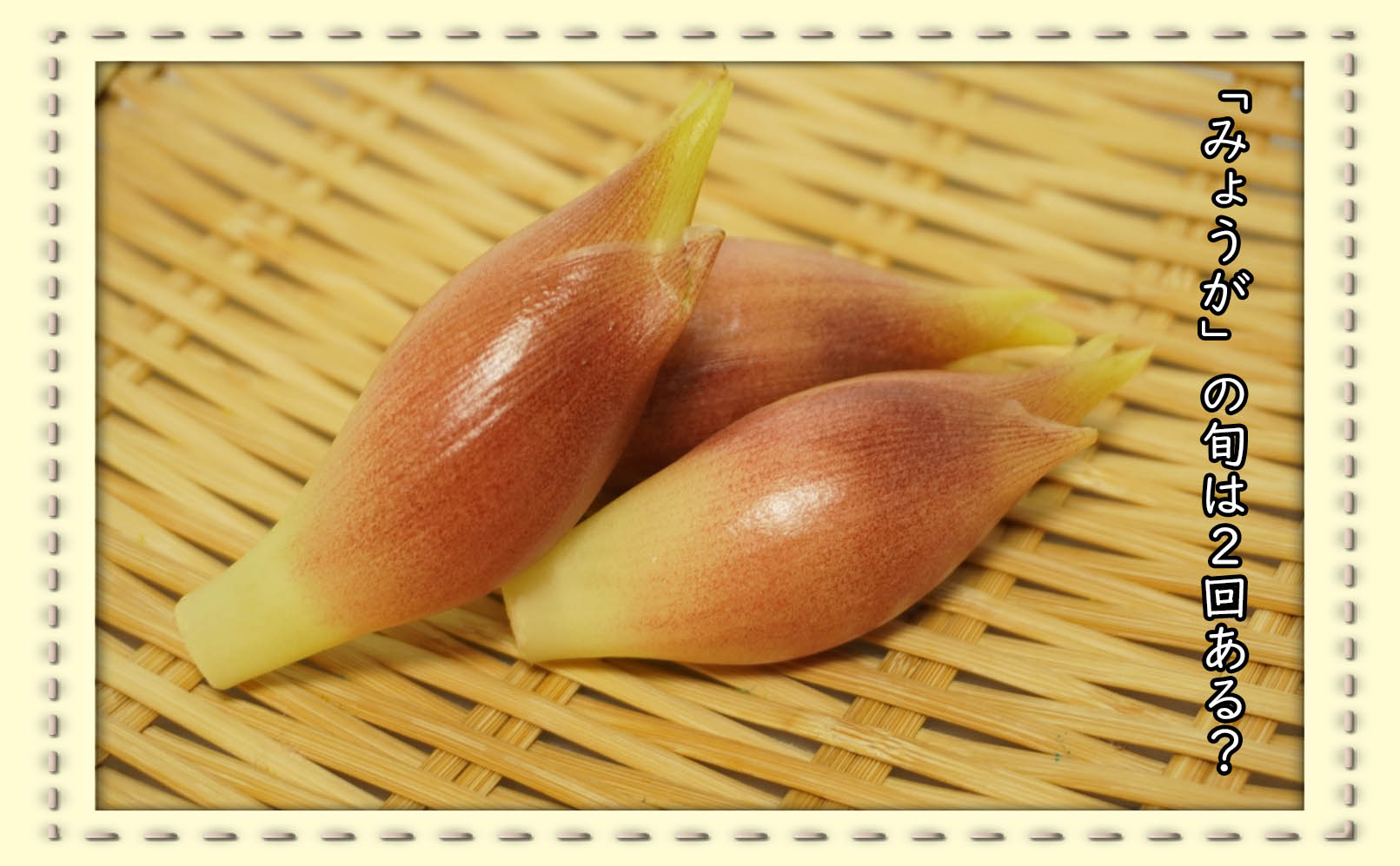 薬味だけではない！いろいろな料理でみょうがを楽しもう！！