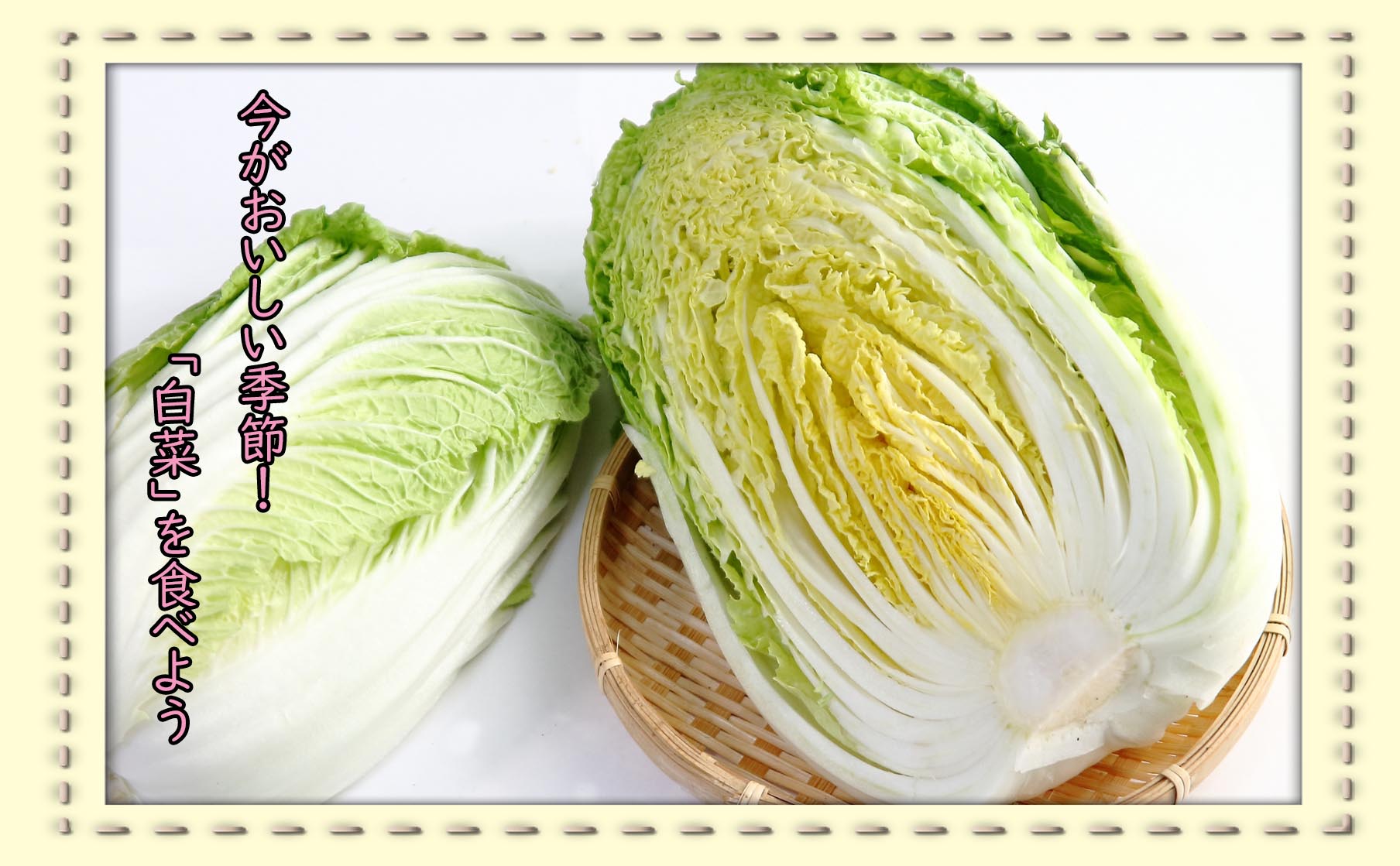 鍋にはやっぱりこれ！白菜の美味しさに迫る