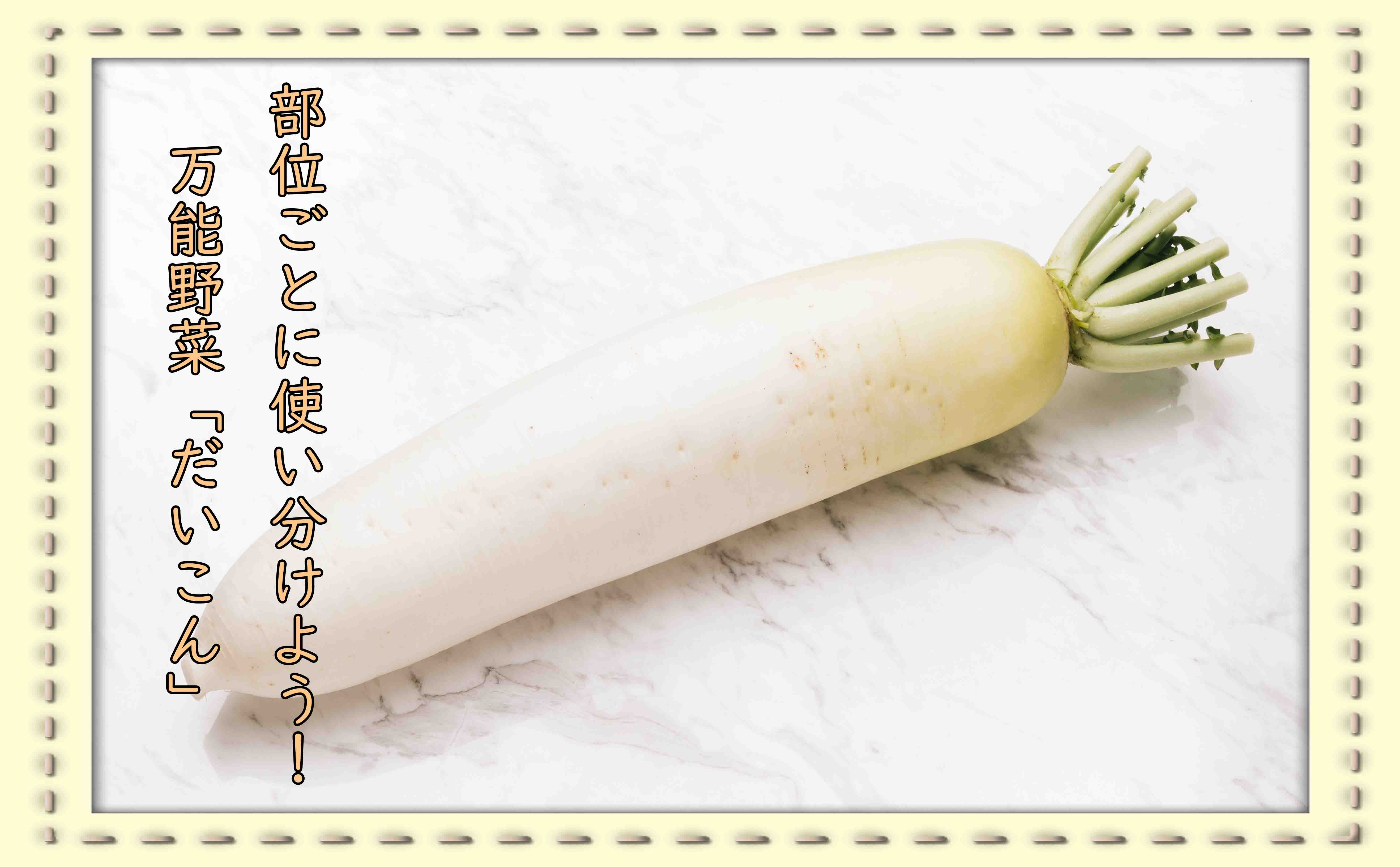 生でよし、煮てよし！万能野菜の大根