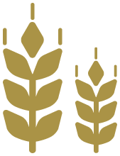 粉